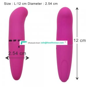 Mini Bullet Dolphin G spot Vibrator Sex Toys for Female Masturbation